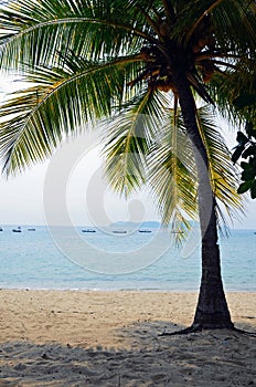 SalangÃ£â¬â¬beach